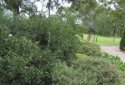 Epping NSWresidential-landscaping-35.jpg; ?>