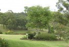 Epping NSWresidential-landscaping-40.jpg; ?>